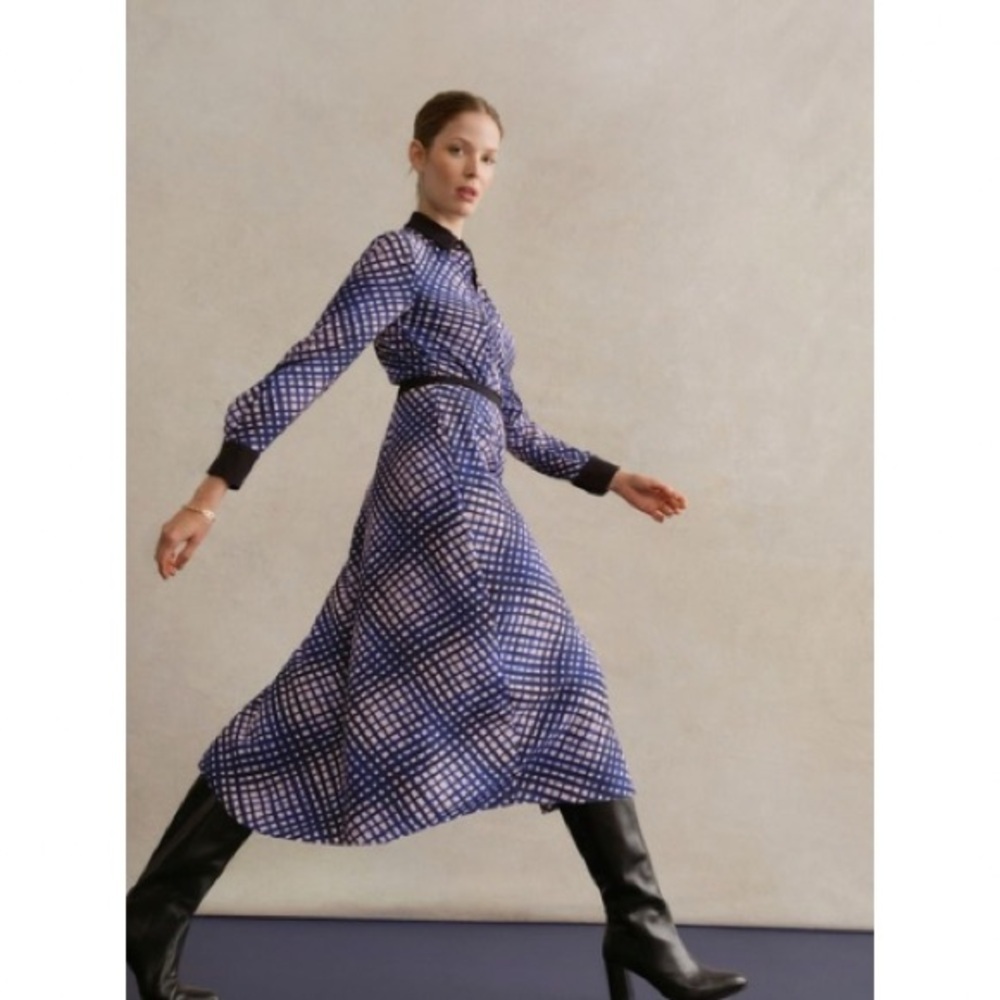 Hobbs Blue Elodie Shirt Dress - Picture 3 of 9
